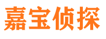 九里市私人侦探